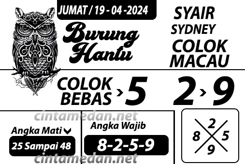 SYAIR SDY VIP